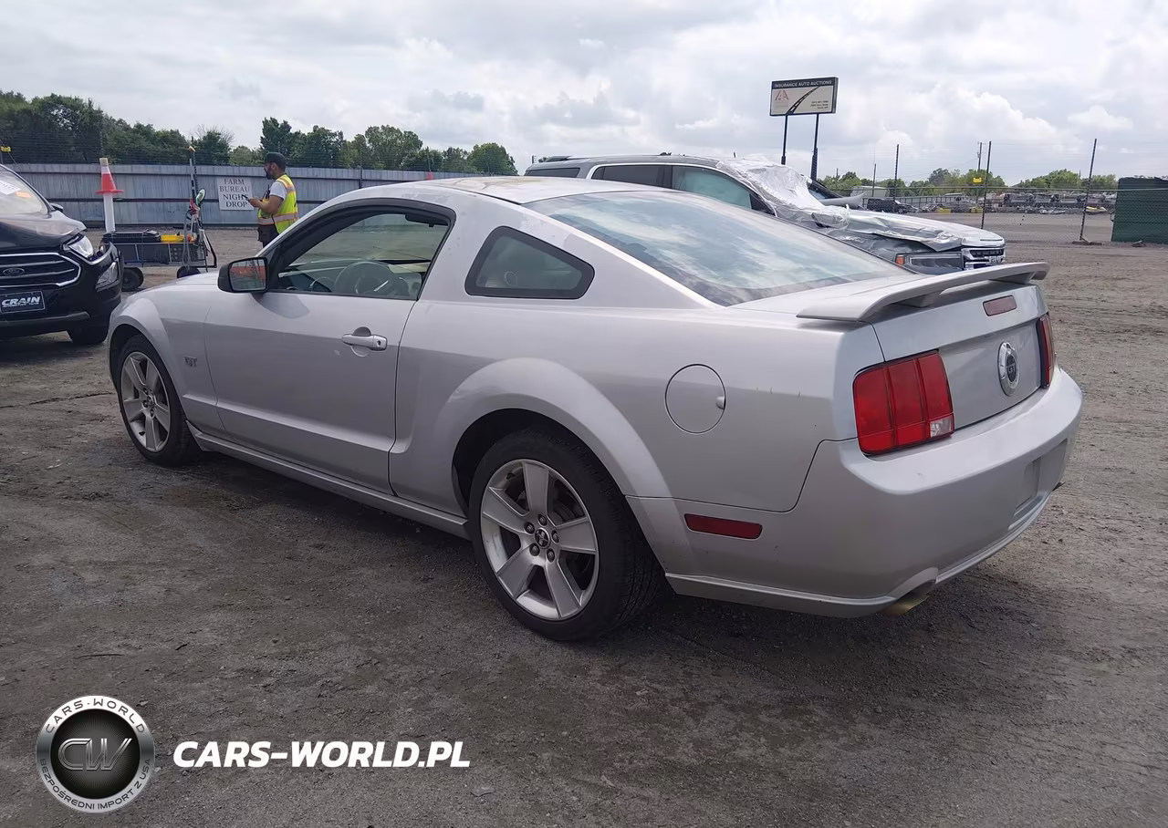 2006 Ford Mustang Gt VIN:1ZVFT82H165240086 - 3