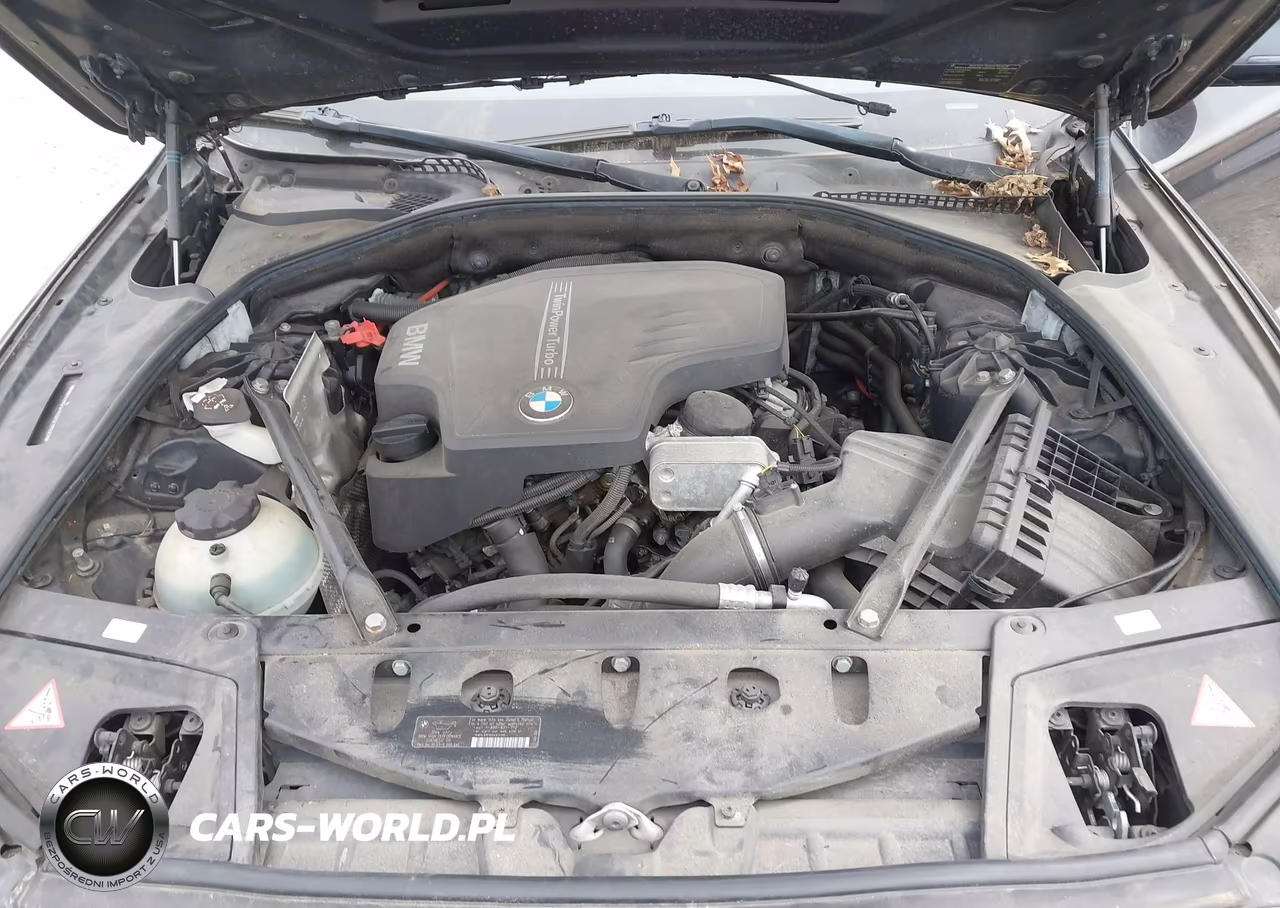 2014 BMW 528 Xi VIN:WBA5A7C5XED219435 - 10