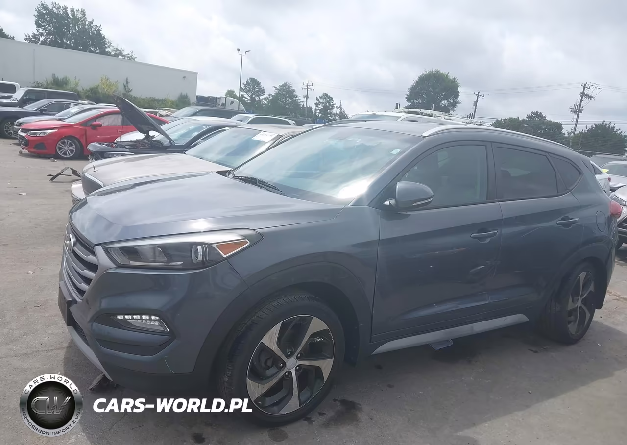 2017 Hyundai Tucson Sport VIN:KM8J3CA28HU393386 - 14
