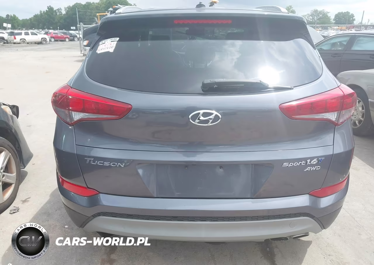 2017 Hyundai Tucson Sport VIN:KM8J3CA28HU393386 - 16