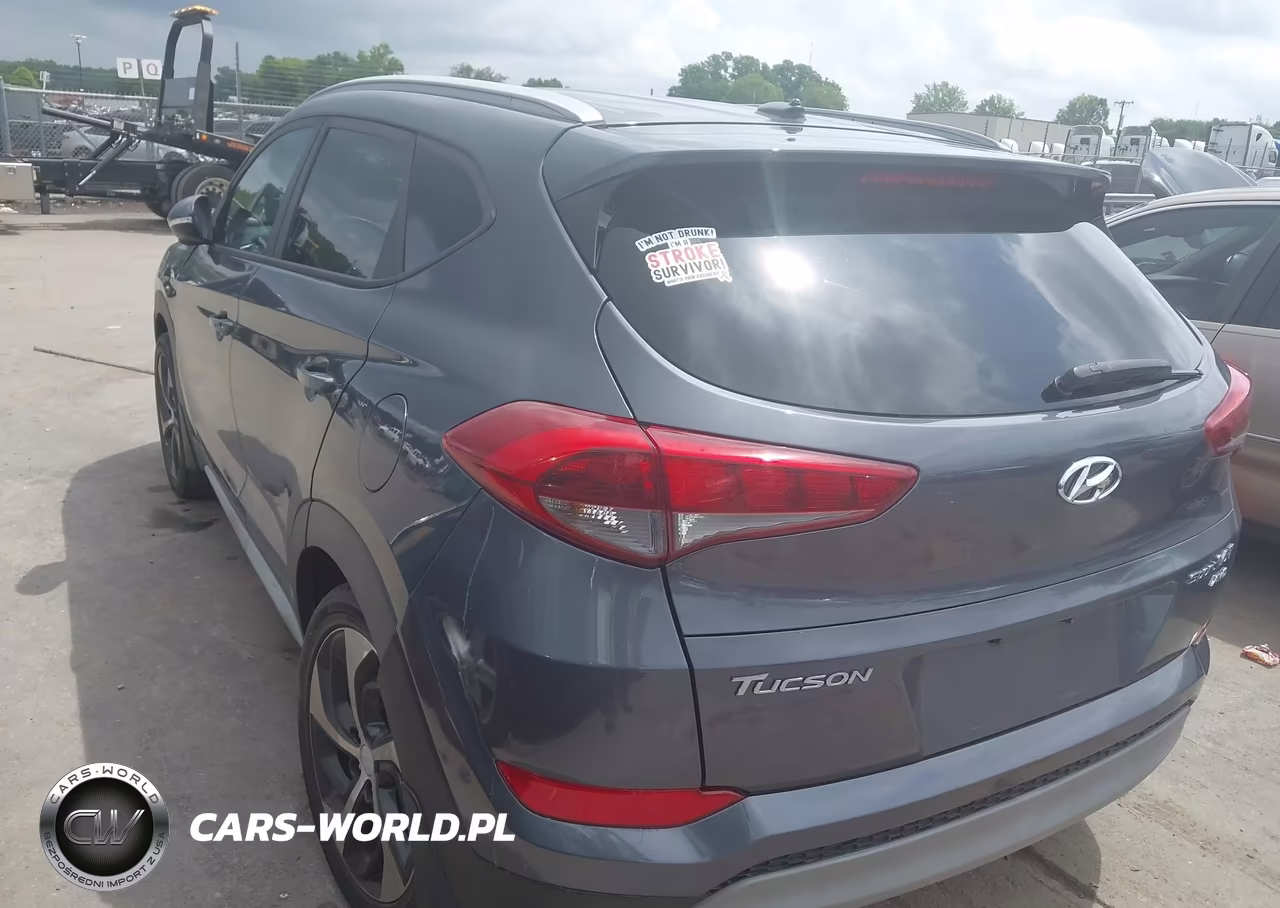 2017 Hyundai Tucson Sport VIN:KM8J3CA28HU393386 - 3