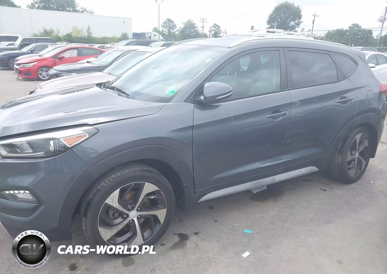 2017 Hyundai Tucson Sport VIN:KM8J3CA28HU393386 - 6