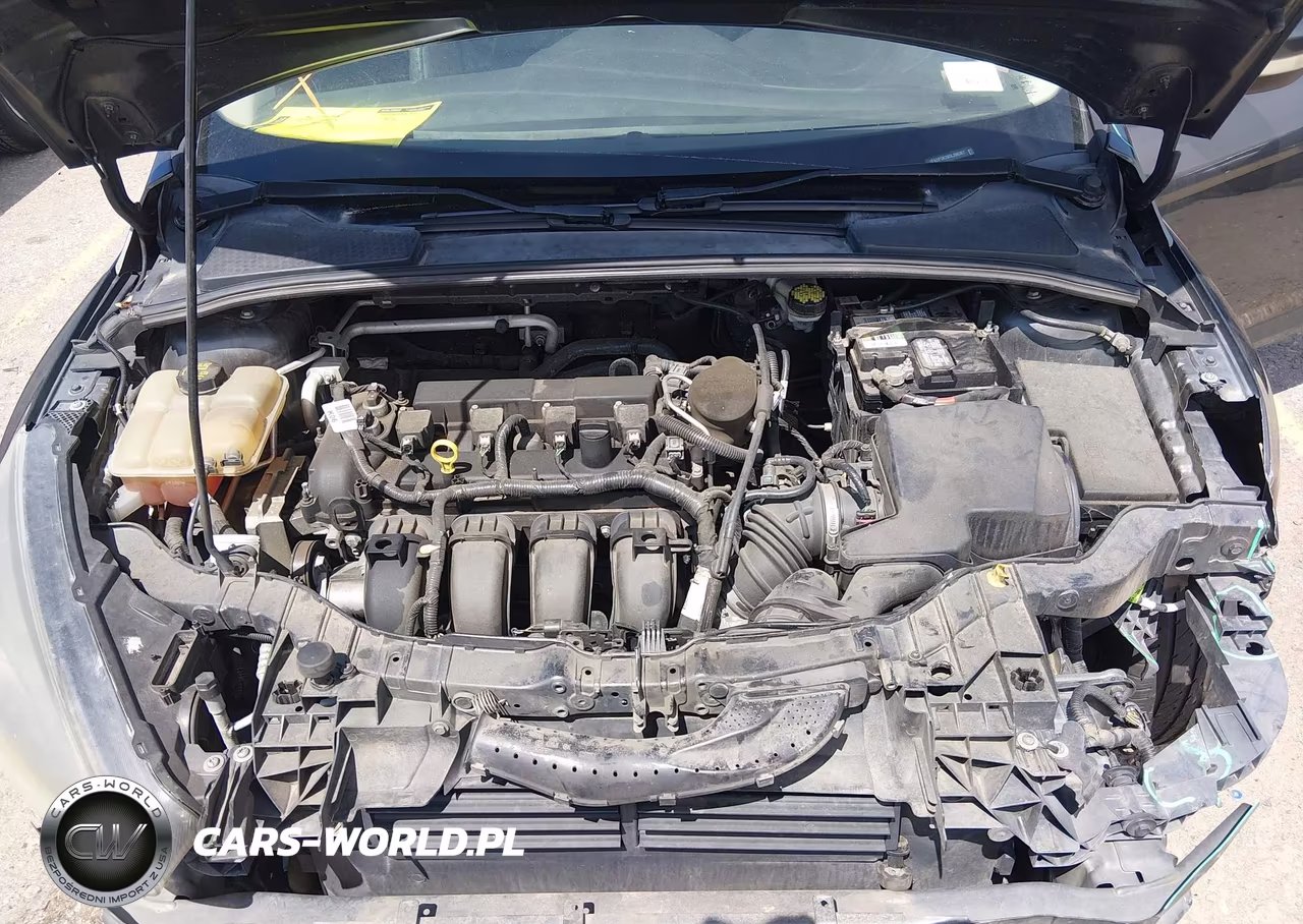 2016 Ford Focus Se VIN:1FADP3K28GL286367 - 10