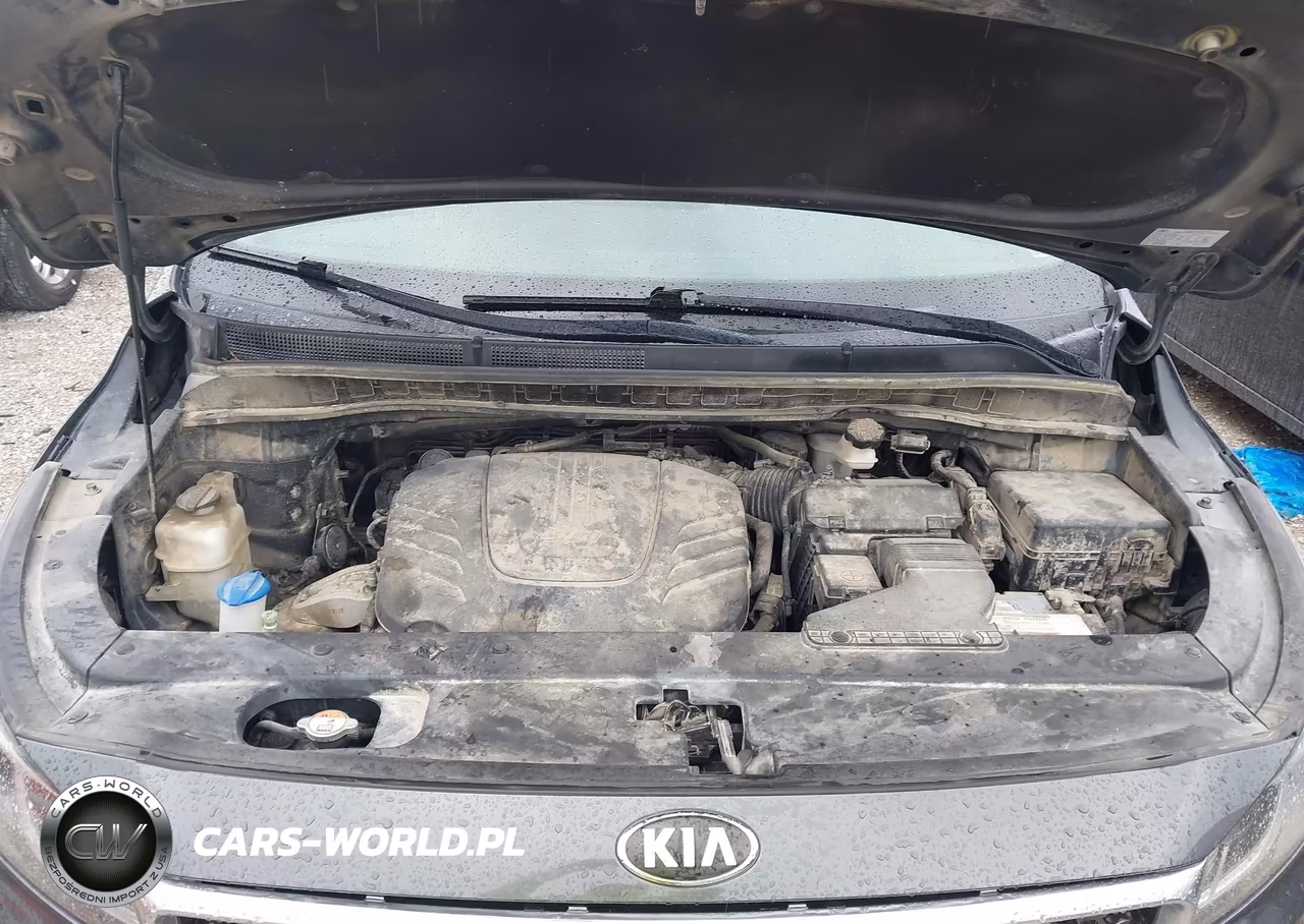 2017 Kia Sedona Sx VIN:KNDMC5C14H6325415 - 10