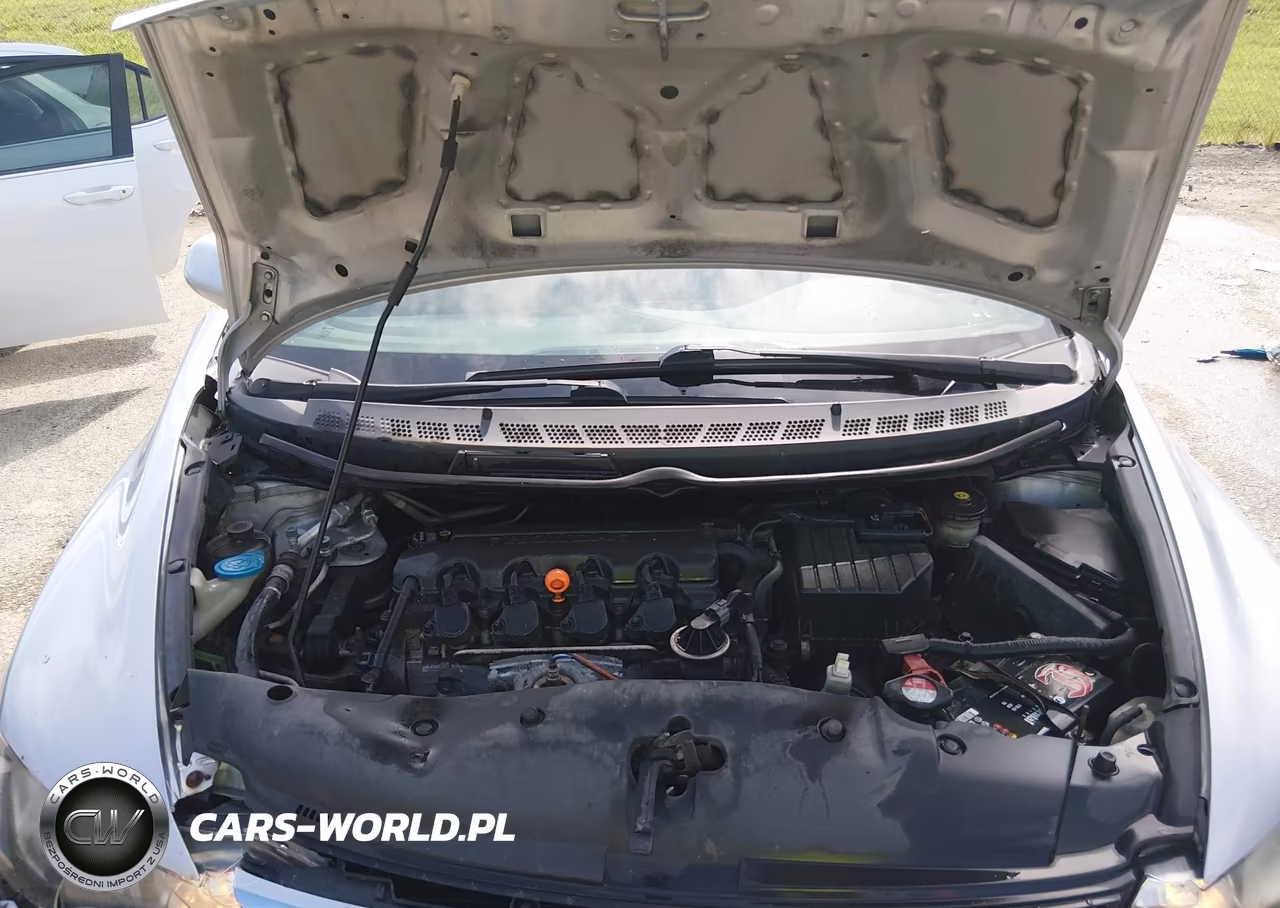 2010 Honda Civic Lx VIN:19XFA1F57AE016009 - 10