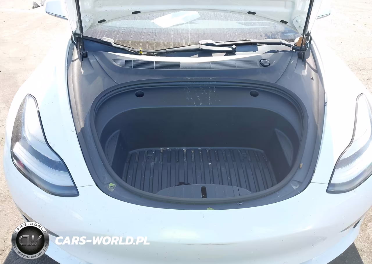 2020 Tesla Model 3 Standard Range Plus Rear-Wheel Drive-Standard Range Rear-Wheel Drive VIN:5YJ3E1EA5LF800059 - 10