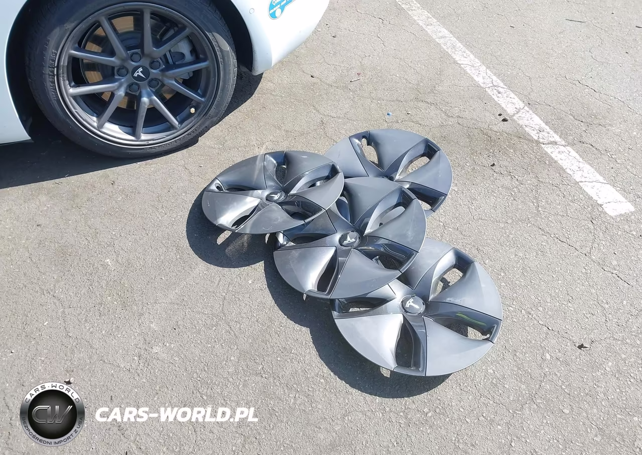 2020 Tesla Model 3 Standard Range Plus Rear-Wheel Drive-Standard Range Rear-Wheel Drive VIN:5YJ3E1EA5LF800059 - 12