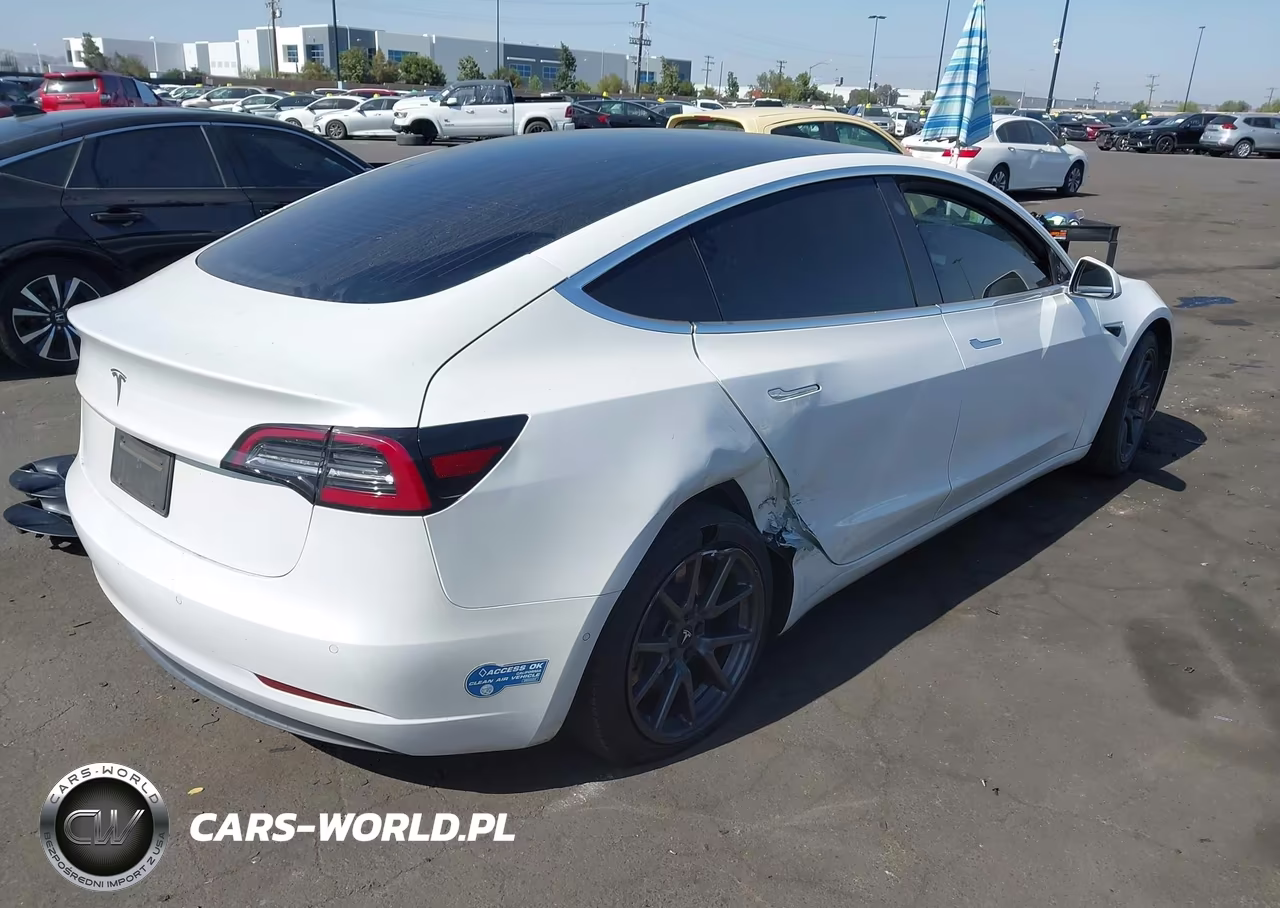 2020 Tesla Model 3 Standard Range Plus Rear-Wheel Drive-Standard Range Rear-Wheel Drive VIN:5YJ3E1EA5LF800059 - 14