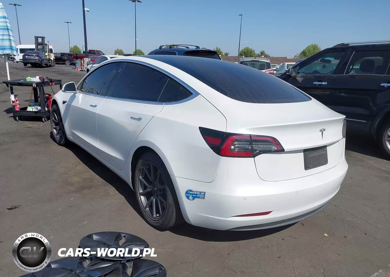 2020 Tesla Model 3 Standard Range Plus Rear-Wheel Drive-Standard Range Rear-Wheel Drive VIN:5YJ3E1EA5LF800059 - 15