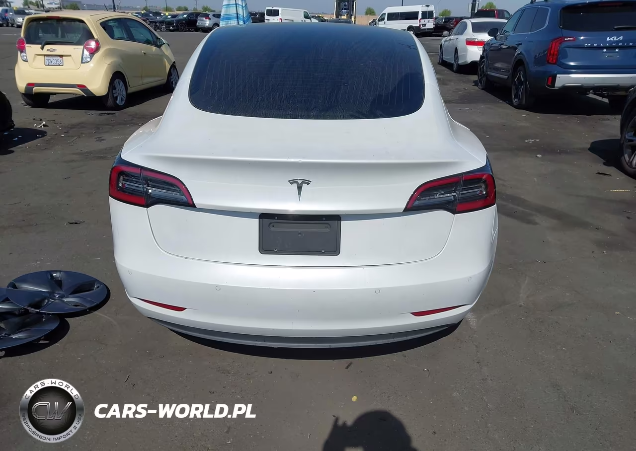 2020 Tesla Model 3 Standard Range Plus Rear-Wheel Drive-Standard Range Rear-Wheel Drive VIN:5YJ3E1EA5LF800059 - 17