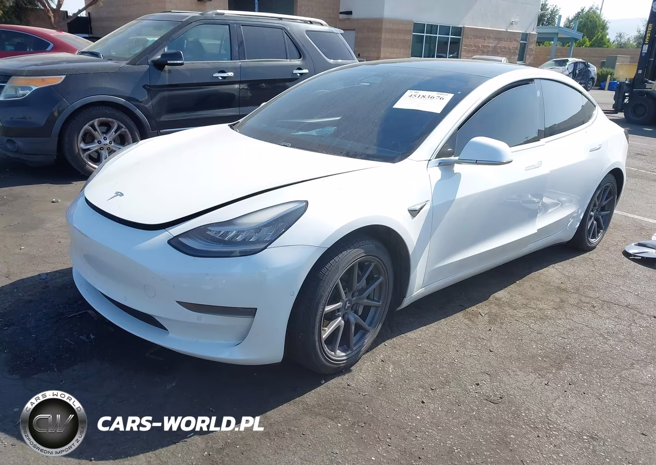 2020 Tesla Model 3 Standard Range Plus Rear-Wheel Drive-Standard Range Rear-Wheel Drive VIN:5YJ3E1EA5LF800059 - 2