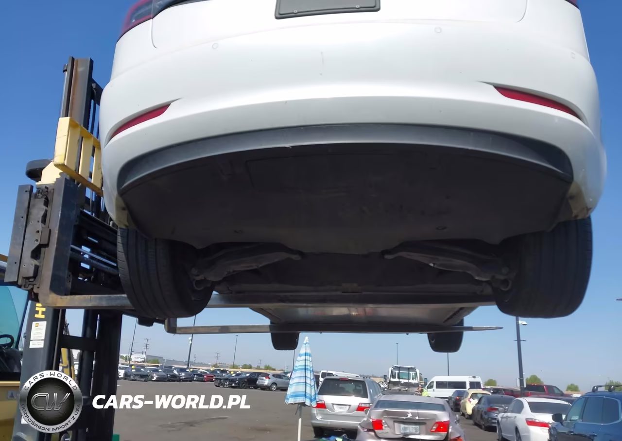 2020 Tesla Model 3 Standard Range Plus Rear-Wheel Drive-Standard Range Rear-Wheel Drive VIN:5YJ3E1EA5LF800059 - 20