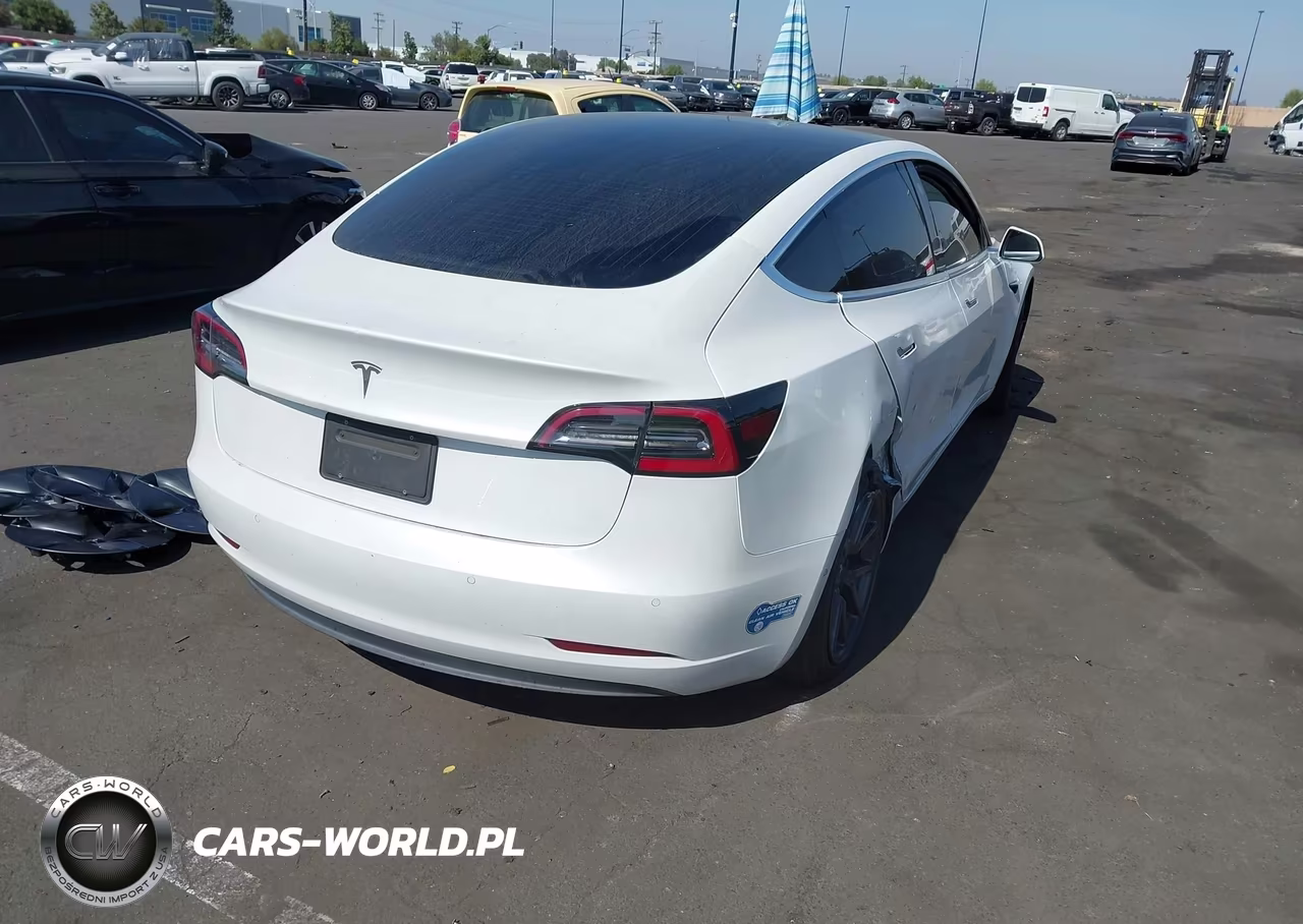 2020 Tesla Model 3 Standard Range Plus Rear-Wheel Drive-Standard Range Rear-Wheel Drive VIN:5YJ3E1EA5LF800059 - 4
