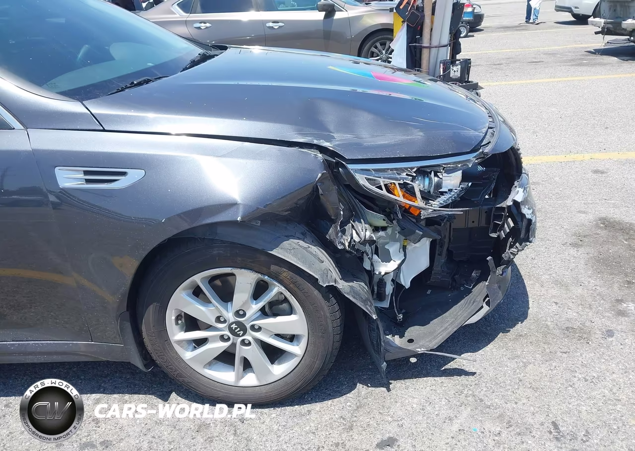 2016 Kia Optima Lx VIN:KNAGT4L34G5107534 - 13