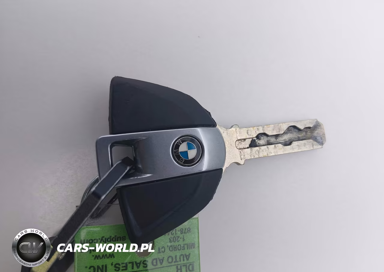 2024 BMW M 1000 Rr VIN:WB10P0301R6J63223 - 11