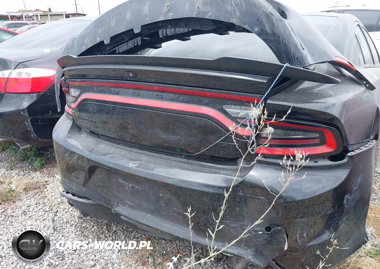 2020 Dodge Charger Gt Rwd VIN:2C3CDXHG8LH202522 - 17