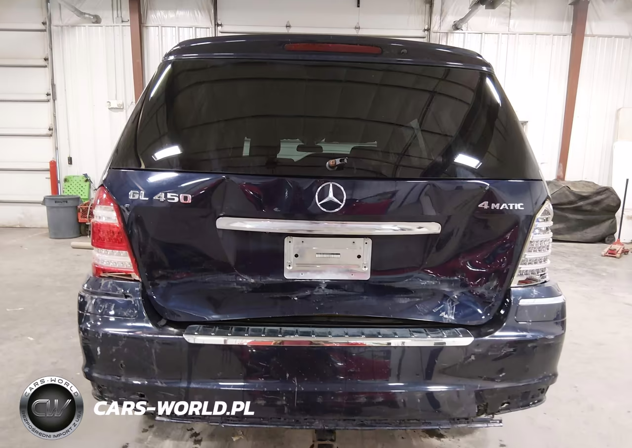 2010 Mercedes-Benz Gl 450 4Matic VIN:4JGBF7BE7AA543877 - 6