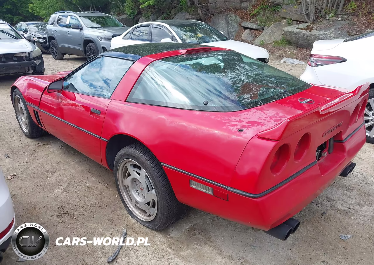 1989 Chevrolet Corvette VIN:1G1YY218XK5120687 - 3