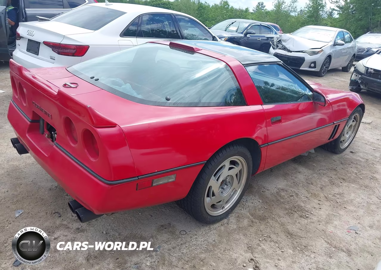 1989 Chevrolet Corvette VIN:1G1YY218XK5120687 - 4