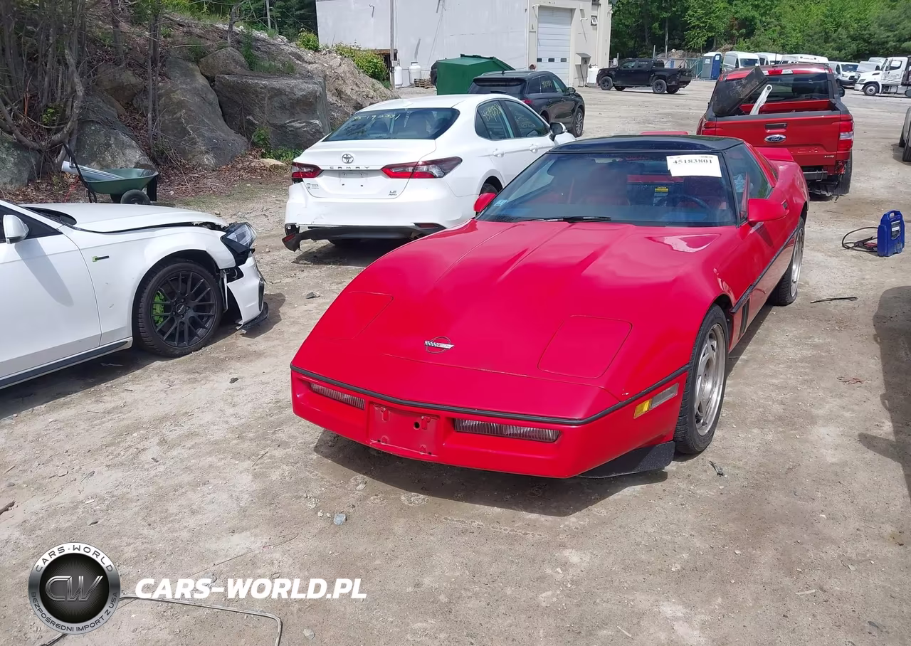 1989 Chevrolet Corvette VIN:1G1YY218XK5120687 - 6