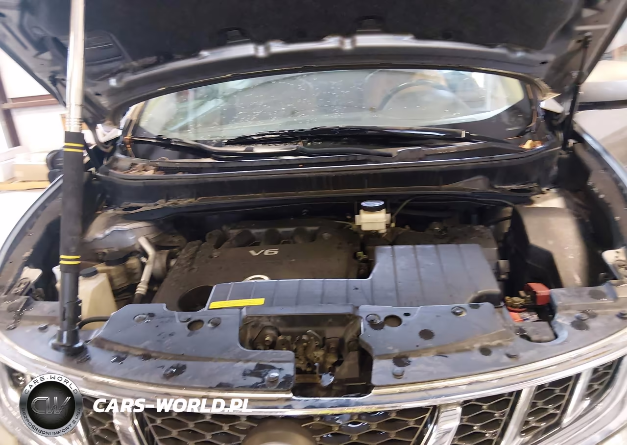 2011 Nissan Murano Crosscabriolet VIN:JN8AZ1FY4BW003601 - 10