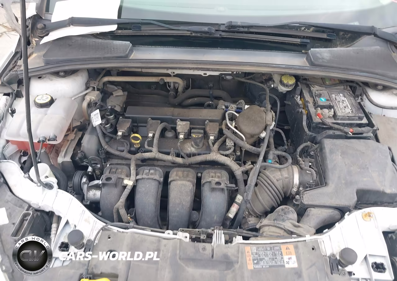 2015 Ford Focus Se VIN:1FADP3F2XFL293362 - 10