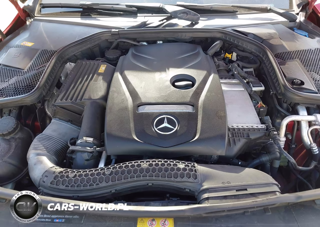 2016 Mercedes-Benz C 300 VIN:55SWF4JB3GU145009 - 10