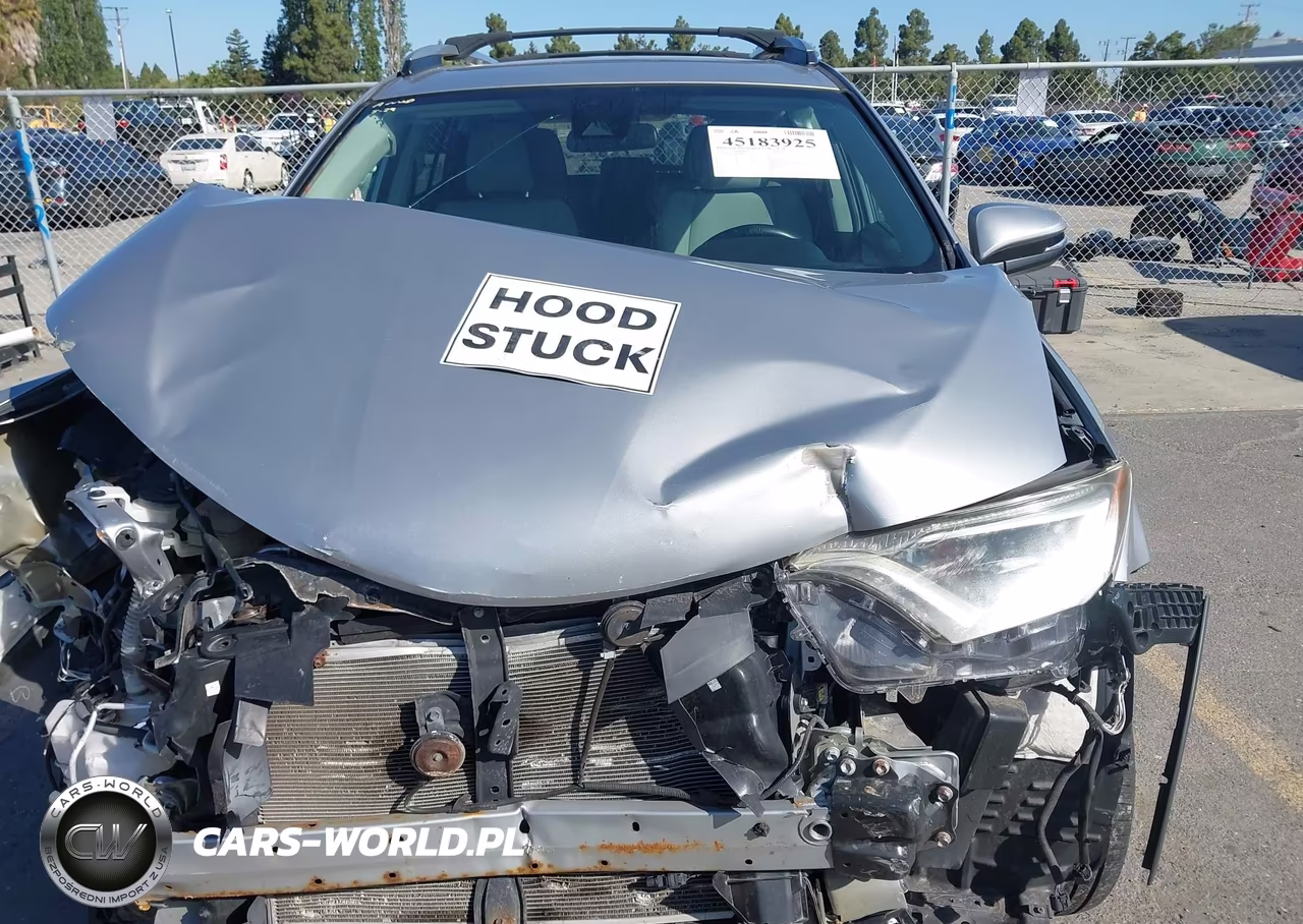 2017 Toyota Rav4 Xle VIN:2T3WFREV6HW359541 - 10