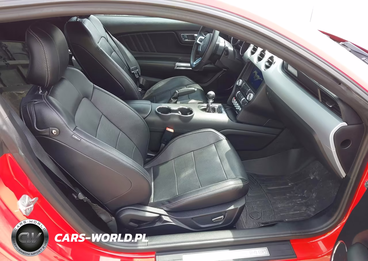 2016 Ford Mustang Ecoboost Premium VIN:1FA6P8THXG5313839 - 5