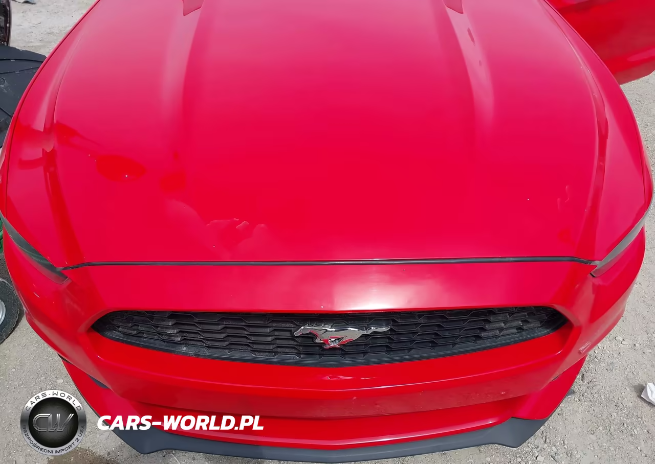 2016 Ford Mustang Ecoboost Premium VIN:1FA6P8THXG5313839 - 6