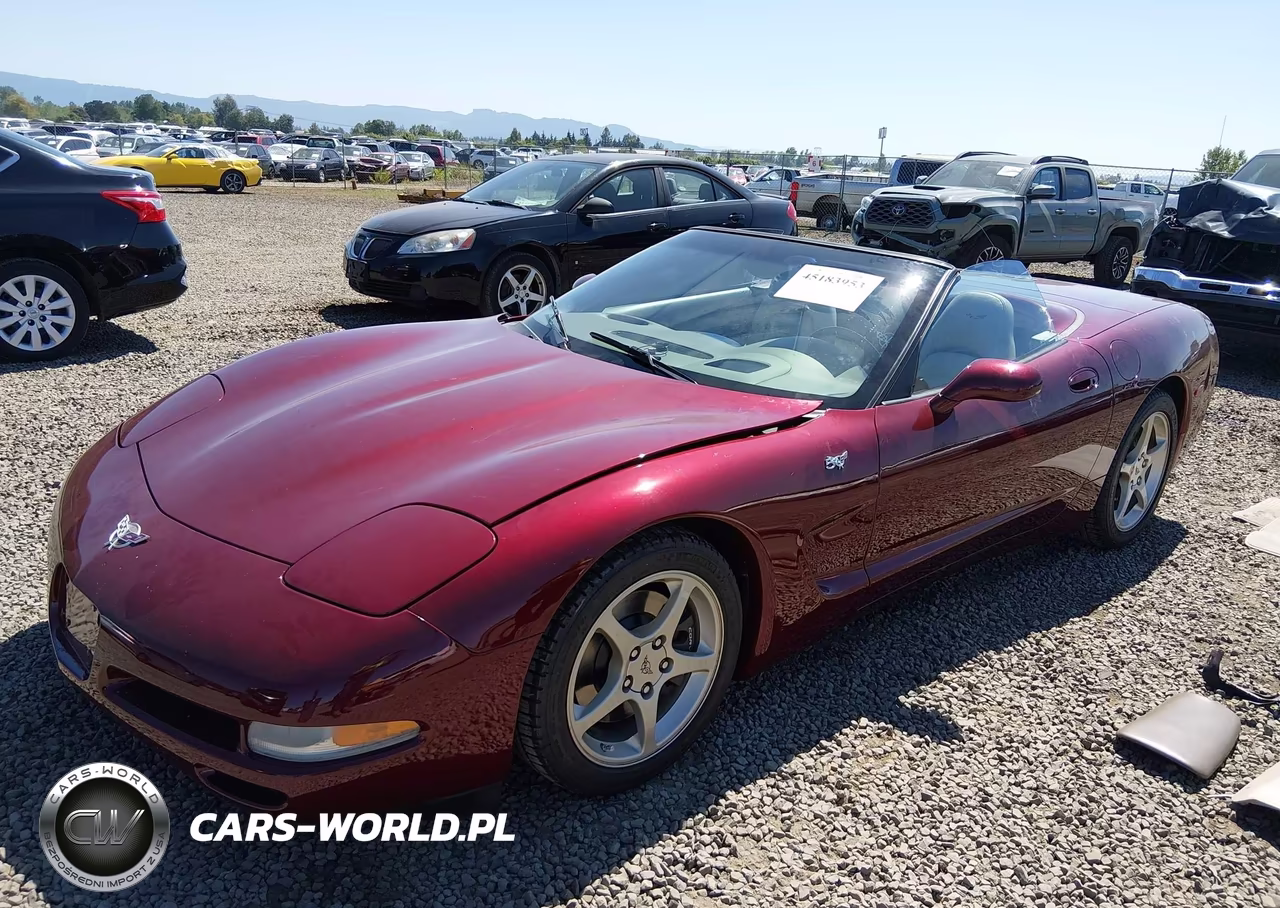 2003 Chevrolet Corvette VIN:1G1YY32G835103769 - 2