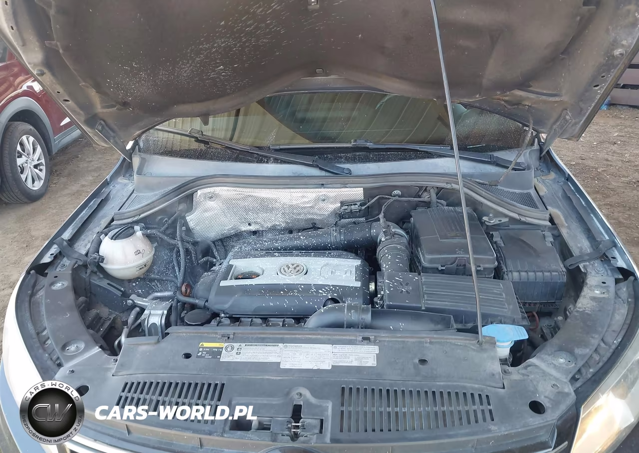 2013 Volkswagen Tiguan Se VIN:WVGBV3AX3DW591768 - 10