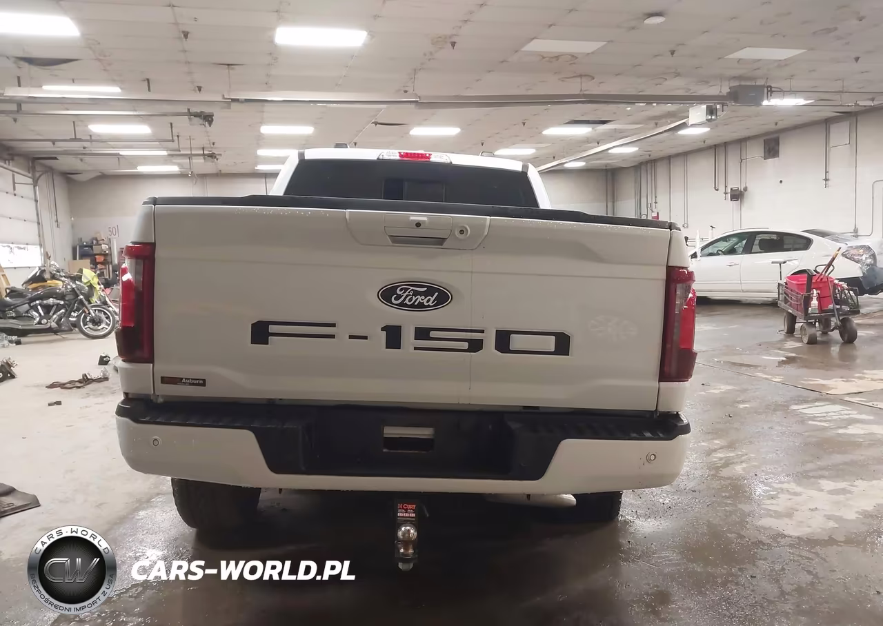 2025 Ford F-150 Xlt VIN:1FTFW3L55SKE63910 - 17