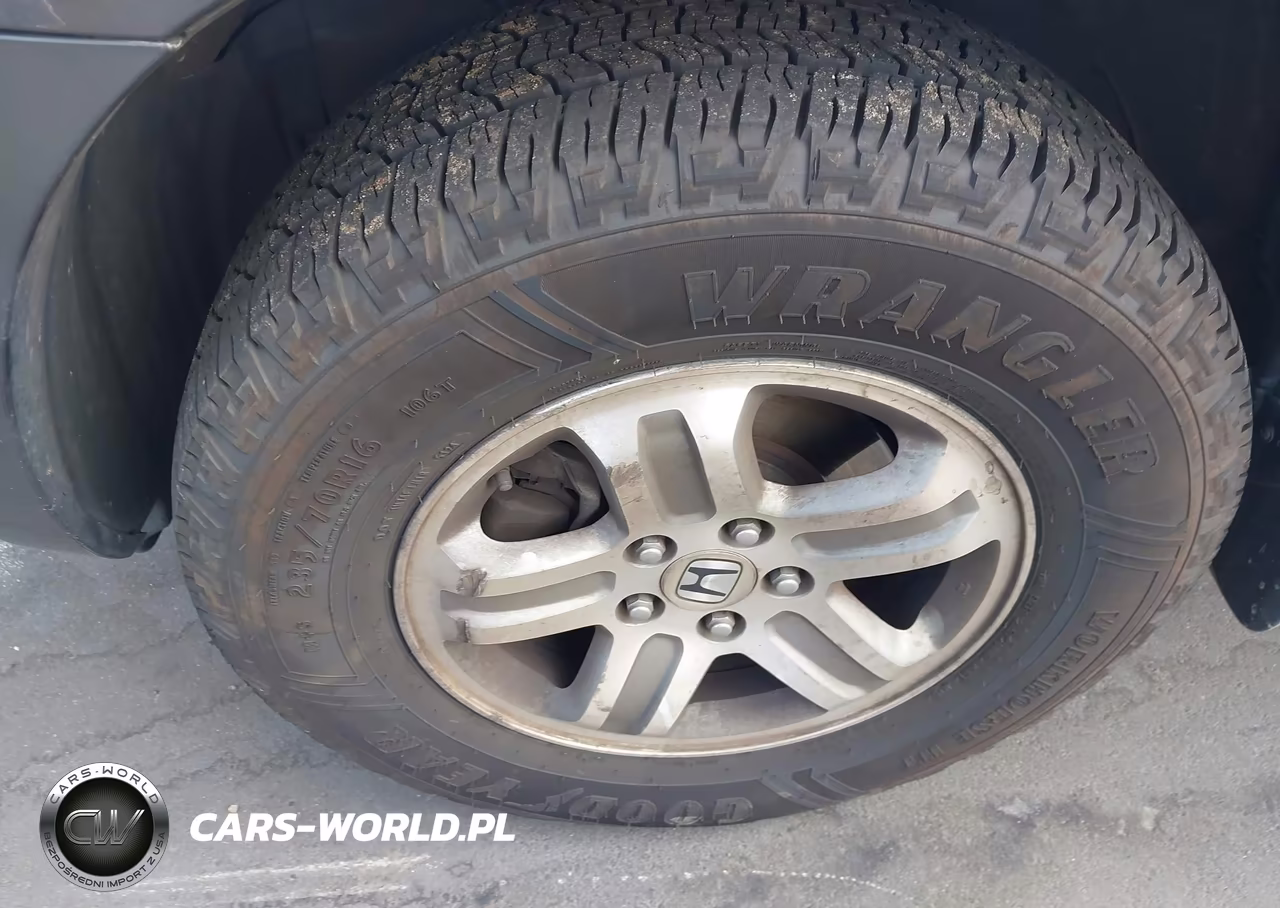 2005 Honda Pilot Ex VIN:5FNYF18475B032936 - 12