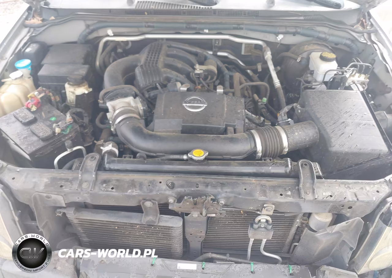 2010 Nissan Xterra X VIN:5N1AN0NU6AC502623 - 10
