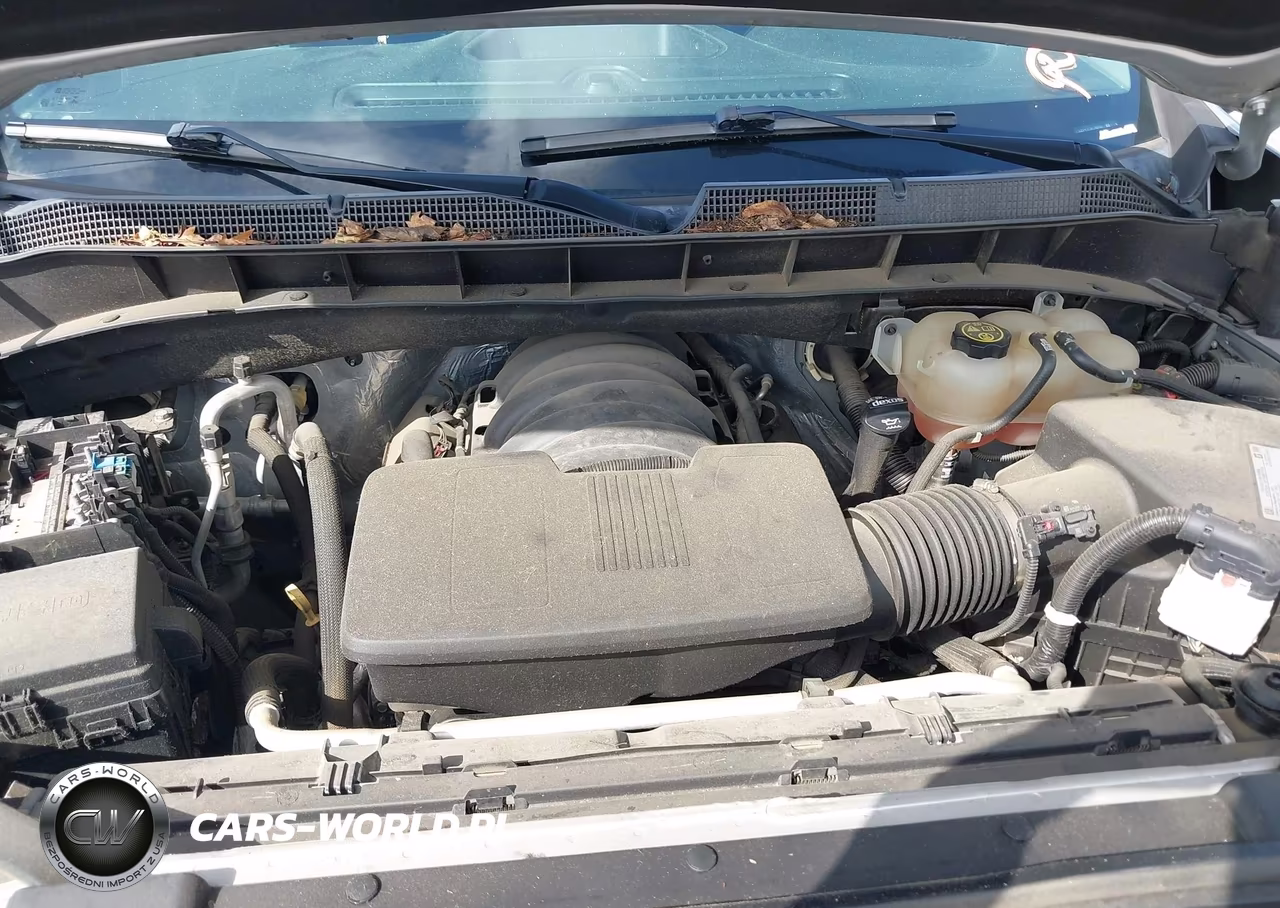 2019 Chevrolet Silverado 1500 Lt Trail Boss VIN:3GCPYFED1KG186832 - 10