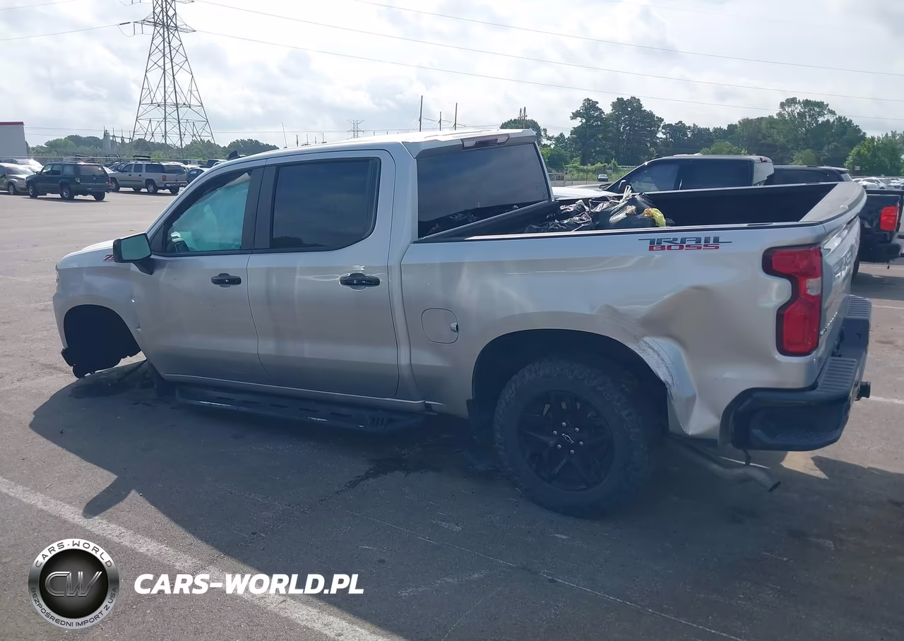 2019 Chevrolet Silverado 1500 Lt Trail Boss VIN:3GCPYFED1KG186832 - 13