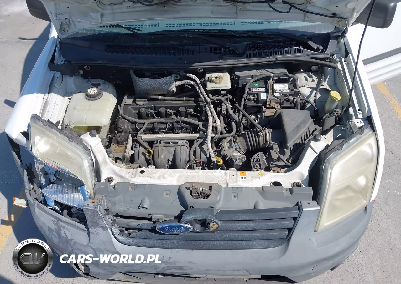 2010 Ford Transit Connect Xl VIN:NM0LS7AN5AT020056 - 10