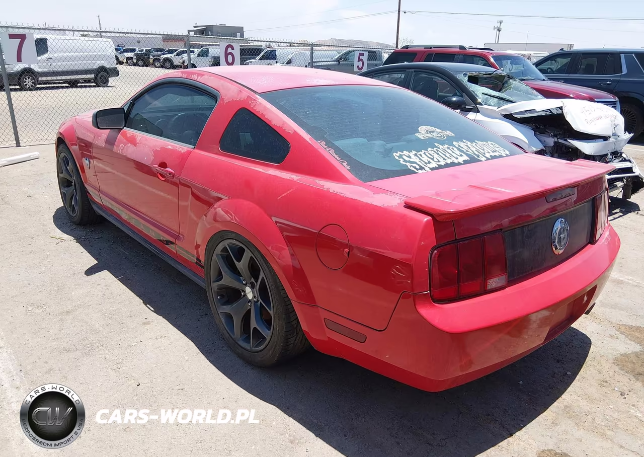 2009 Ford Mustang V6-V6 Premium VIN:1ZVHT80N195110881 - 3