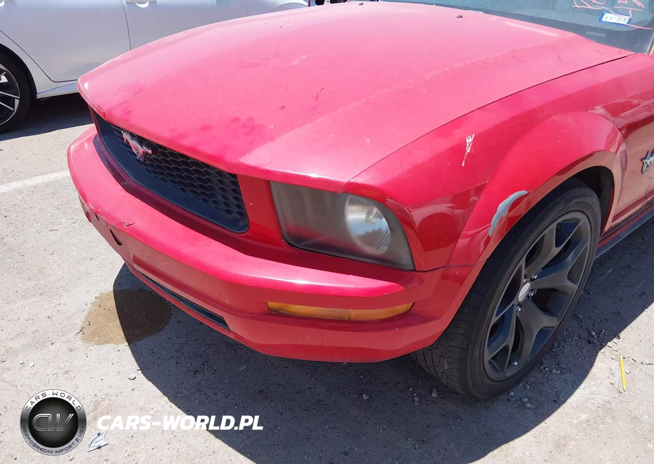 2009 Ford Mustang V6-V6 Premium VIN:1ZVHT80N195110881 - 6