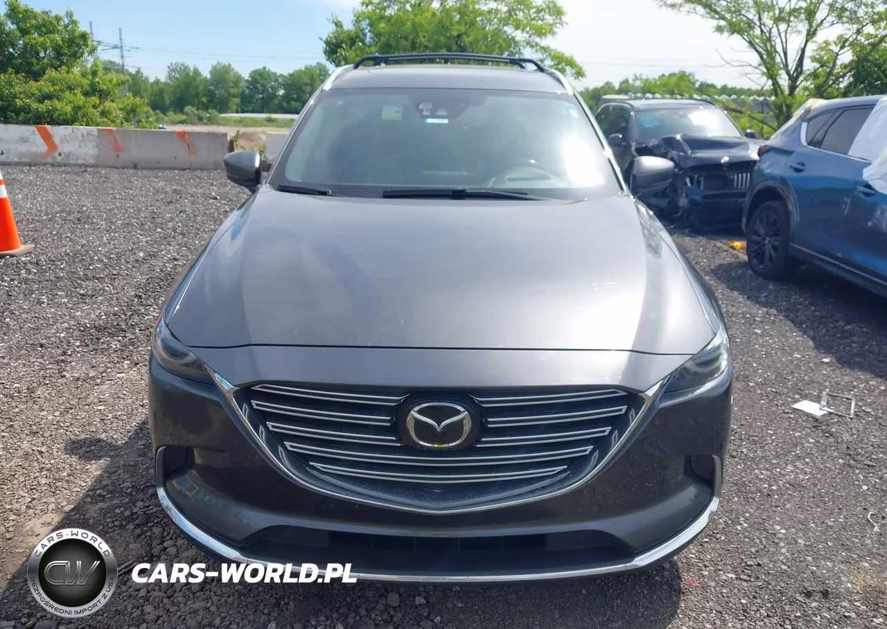 2016 Mazda Cx-9 Grand Touring VIN:JM3TCBDY6G0117924 - 12