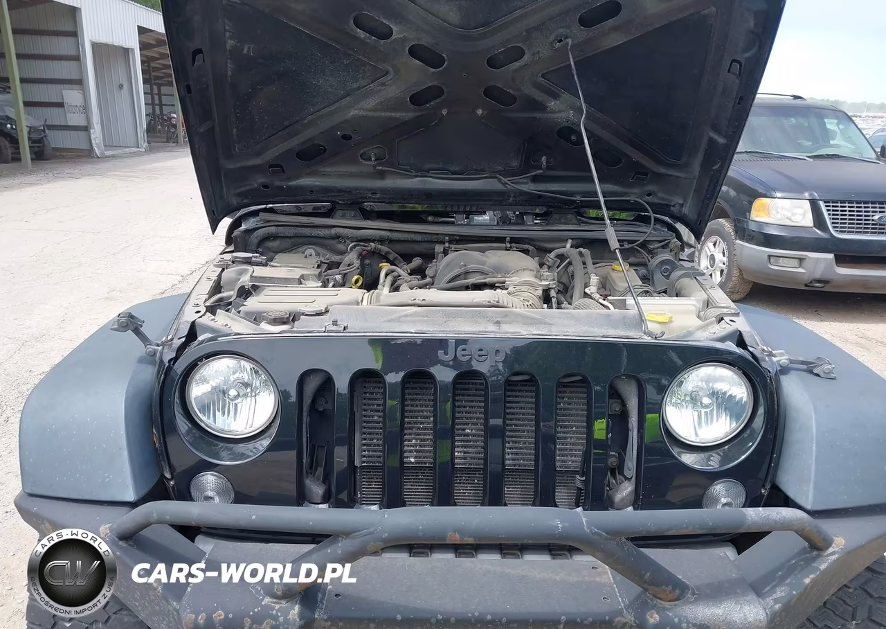 2016 Jeep Wrangler Unlimited Sport VIN:1C4BJWDG2GL133870 - 10