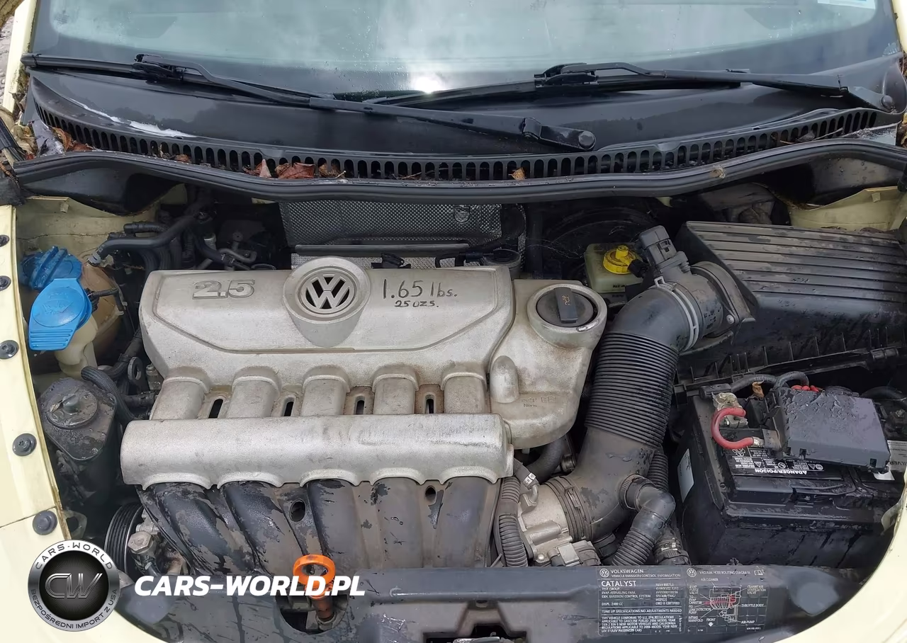 2006 Volkswagen New Beetle 2.5 VIN:3VWRF31Y06M316125 - 10
