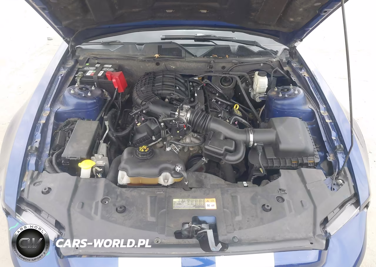 2014 Ford Mustang V6 Premium VIN:1ZVBP8AM1E5306121 - 10