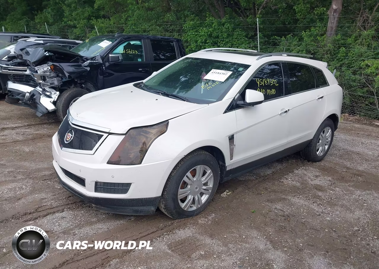 2011 Cadillac Srx Luxury Collection VIN:3GYFNDEY8BS542793 - 2