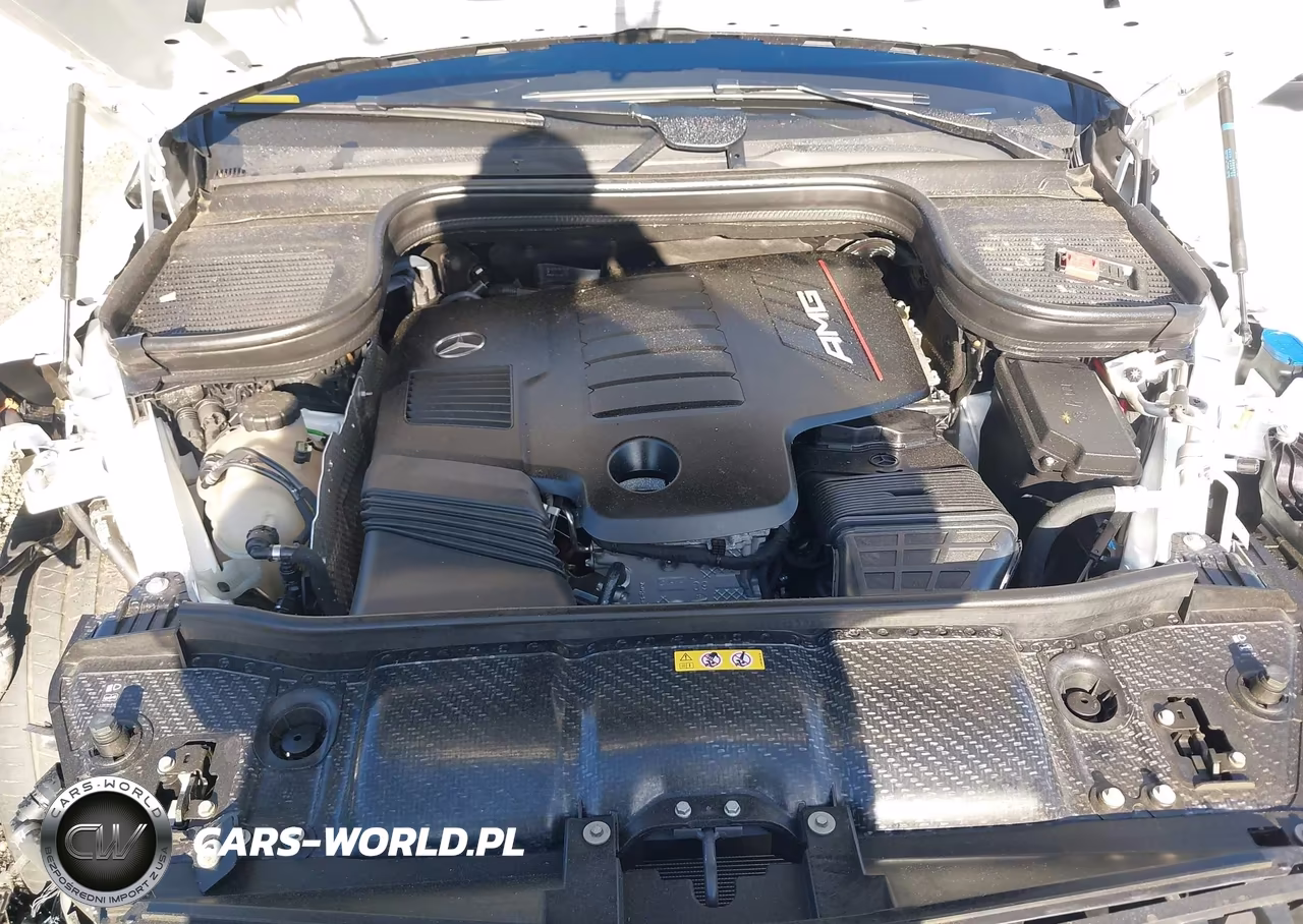 2023 Mercedes-Benz Amg Gle 53 Coupe 4Matic VIN:4JGFD6BB1PA934054 - 10