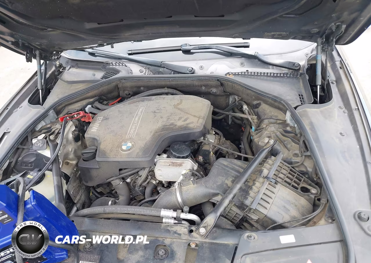 2015 BMW 528I xDrive VIN:WBA5A7C50FD622101 - 10