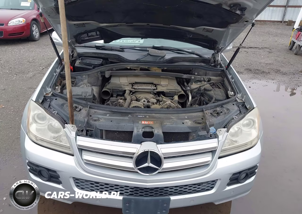 2007 Mercedes-Benz Gl 450 4Matic VIN:4JGBF71E57A182529 - 10