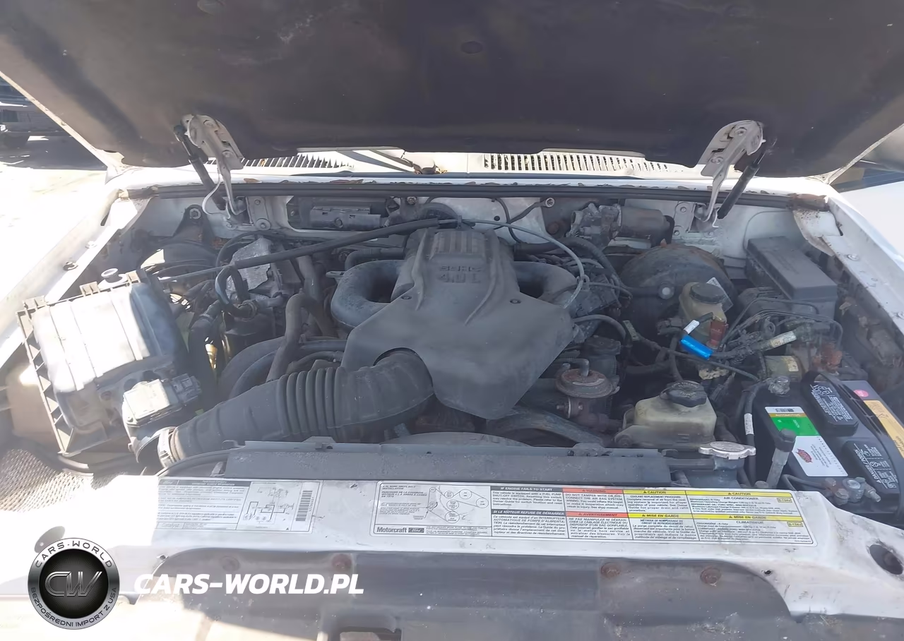 1999 Ford Explorer Eddie Bauer-Limited-Xlt VIN:1FMDU34E2XZB80273 - 10