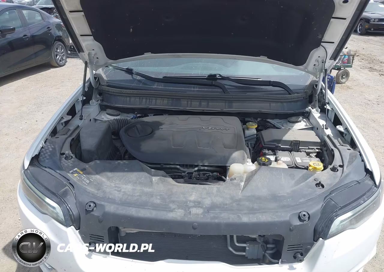2019 Jeep Cherokee Limited 4X4 VIN:1C4PJMDX4KD437666 - 10
